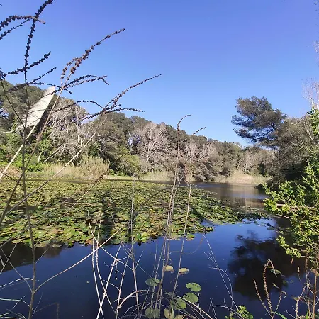 Domaine De La Coudouliere, Vue Mer, Plage, Piscine Et Parc Apartment