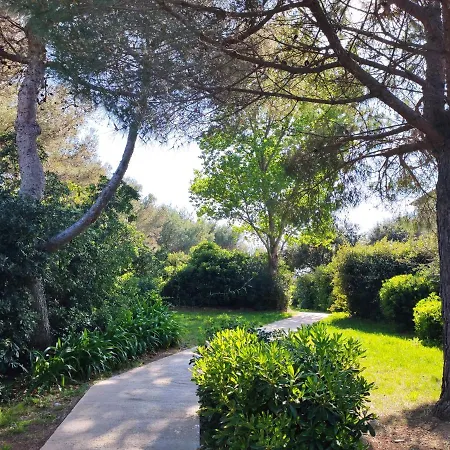 Appartement Domaine De La Coudouliere, Vue Mer, Plage, Piscine Et Parc Six-Fours-les-Plages